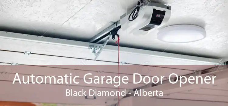 Automatic Garage Door Opener Black Diamond - Alberta