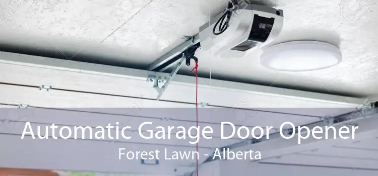 Automatic Garage Door Opener Forest Lawn - Alberta