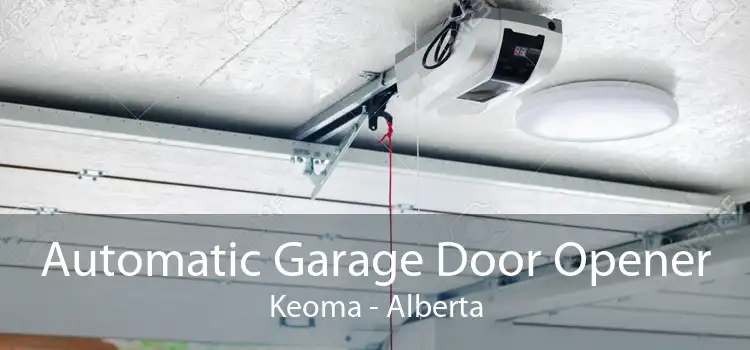 Automatic Garage Door Opener Keoma - Alberta