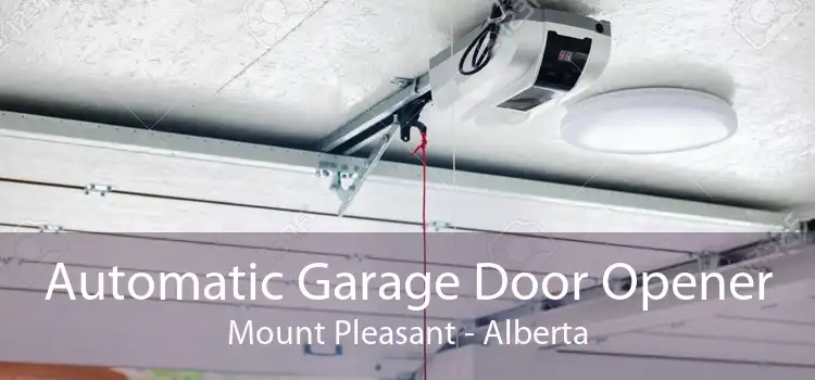 Automatic Garage Door Opener Mount Pleasant - Alberta
