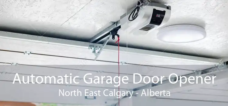 Automatic Garage Door Opener North East Calgary - Alberta