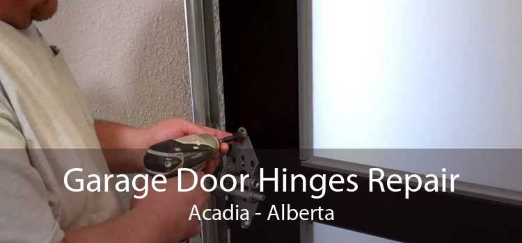 Garage Door Hinges Repair Acadia - Alberta