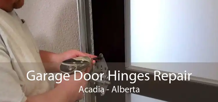 Garage Door Hinges Repair Acadia - Alberta