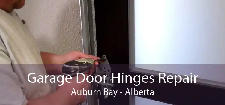 Garage Door Hinges Repair Auburn Bay - Alberta