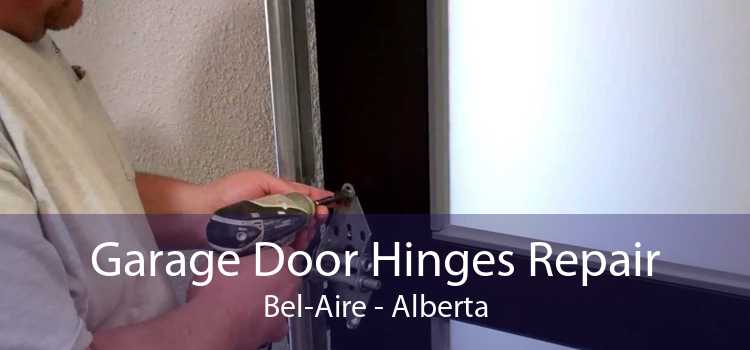 Garage Door Hinges Repair Bel-Aire - Alberta