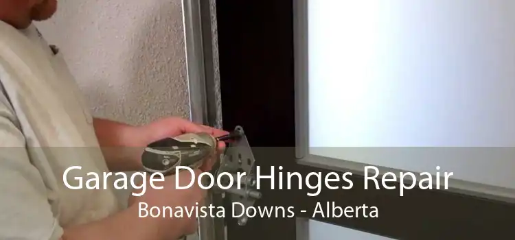 Garage Door Hinges Repair Bonavista Downs - Alberta