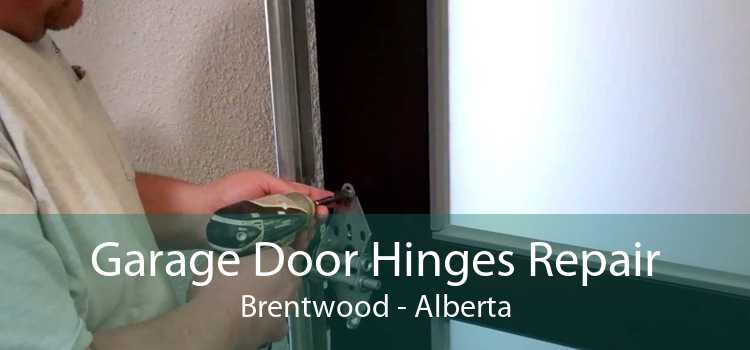 Garage Door Hinges Repair Brentwood - Alberta