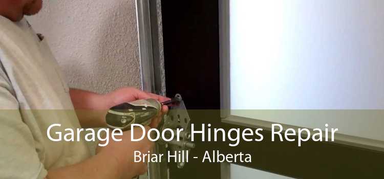Garage Door Hinges Repair Briar Hill - Alberta