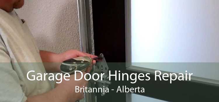 Garage Door Hinges Repair Britannia - Alberta