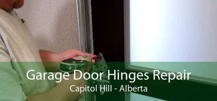 Garage Door Hinges Repair Capitol Hill - Alberta