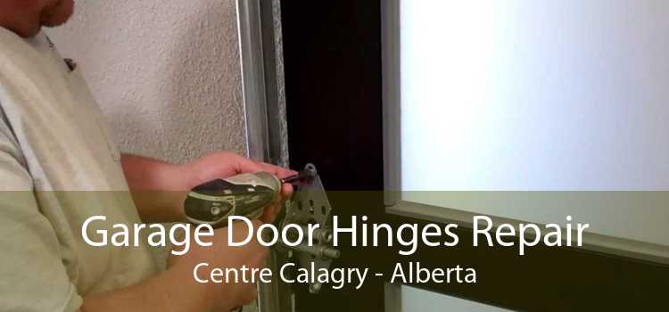 Garage Door Hinges Repair Centre Calagry - Alberta