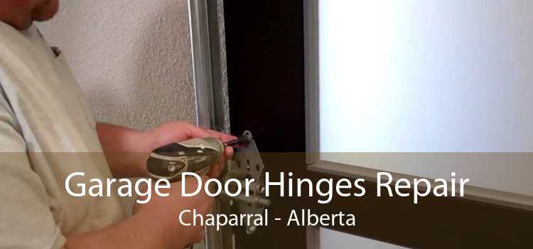 Garage Door Hinges Repair Chaparral - Alberta