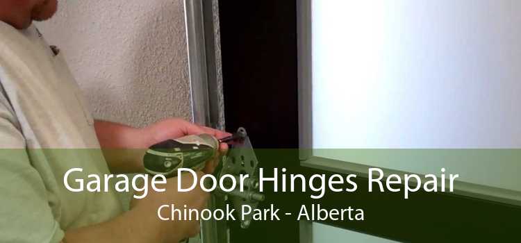 Garage Door Hinges Repair Chinook Park - Alberta