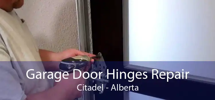 Garage Door Hinges Repair Citadel - Alberta