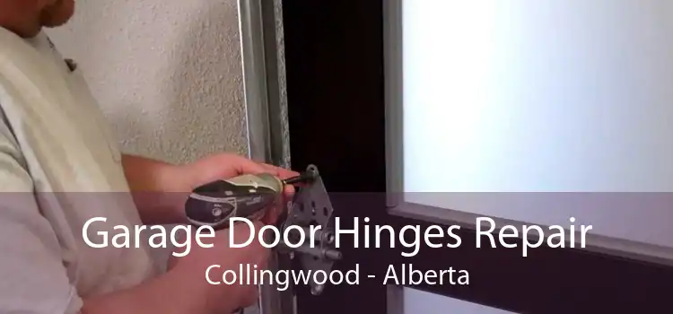 Garage Door Hinges Repair Collingwood - Alberta