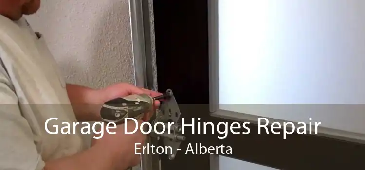 Garage Door Hinges Repair Erlton - Alberta