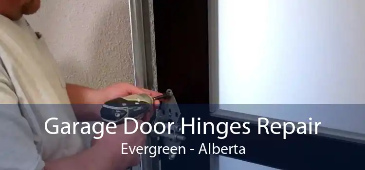Garage Door Hinges Repair Evergreen - Alberta