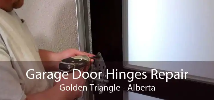 Garage Door Hinges Repair Golden Triangle - Alberta