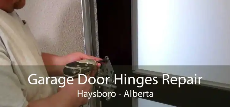 Garage Door Hinges Repair Haysboro - Alberta