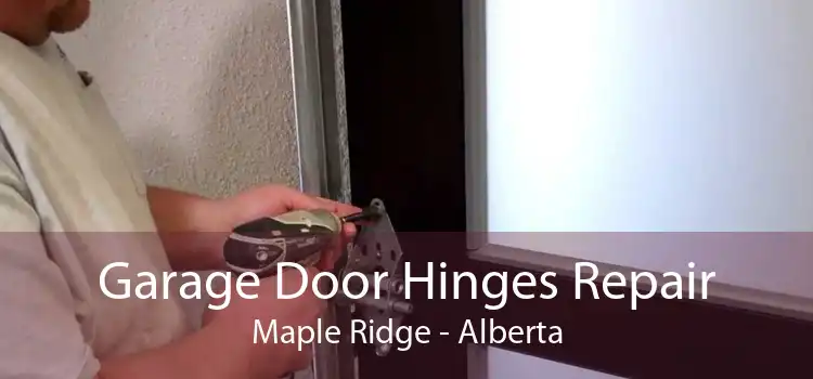 Garage Door Hinges Repair Maple Ridge - Alberta
