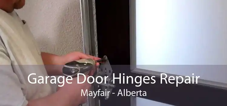 Garage Door Hinges Repair Mayfair - Alberta