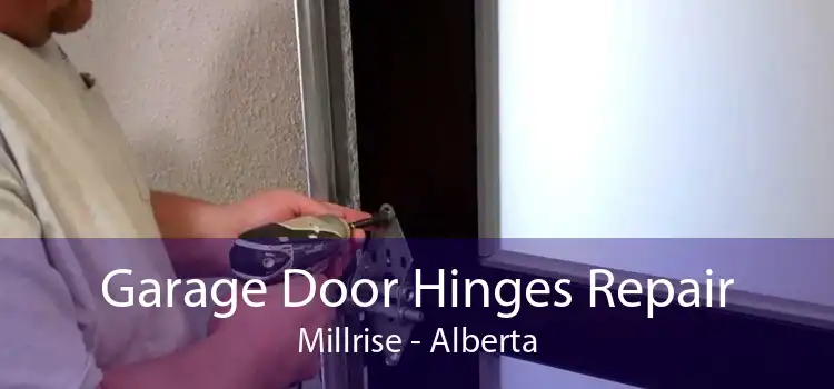 Garage Door Hinges Repair Millrise - Alberta