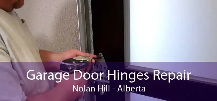 Garage Door Hinges Repair Nolan Hill - Alberta