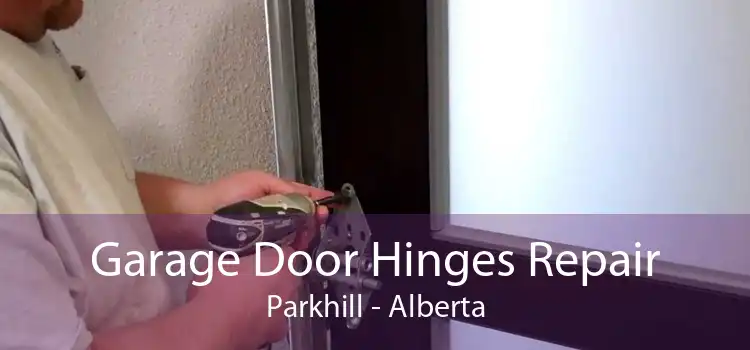 Garage Door Hinges Repair Parkhill - Alberta