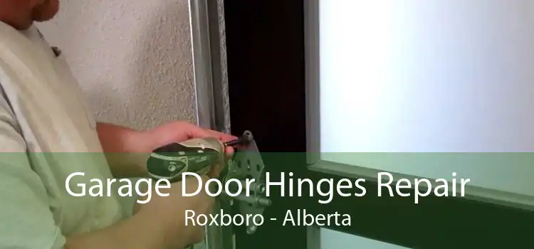 Garage Door Hinges Repair Roxboro - Alberta