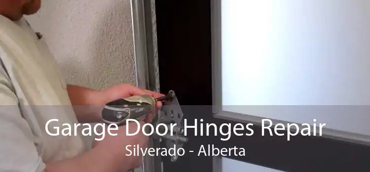 Garage Door Hinges Repair Silverado - Alberta