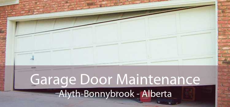 Garage Door Maintenance Alyth-Bonnybrook - Alberta