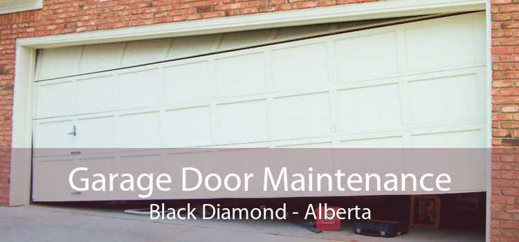 Garage Door Maintenance Black Diamond - Alberta
