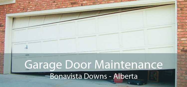 Garage Door Maintenance Bonavista Downs - Alberta