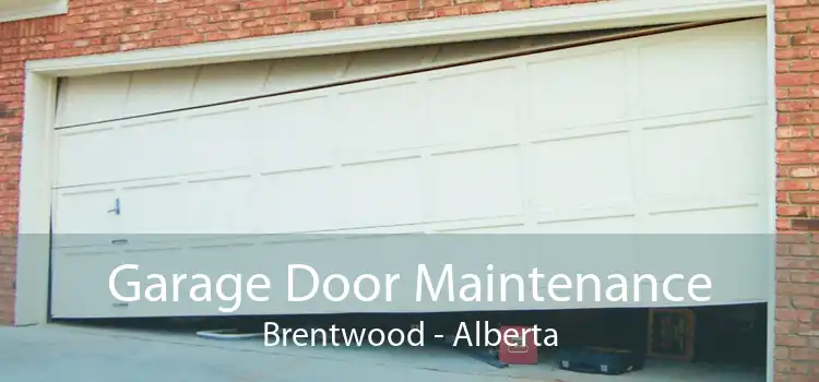 Garage Door Maintenance Brentwood - Alberta