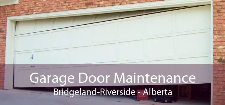 Garage Door Maintenance Bridgeland-Riverside - Alberta