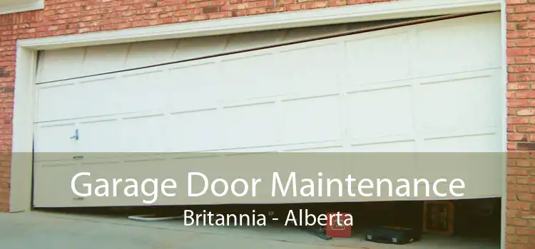Garage Door Maintenance Britannia - Alberta