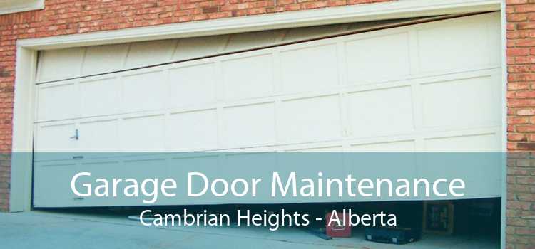 Garage Door Maintenance Cambrian Heights - Alberta