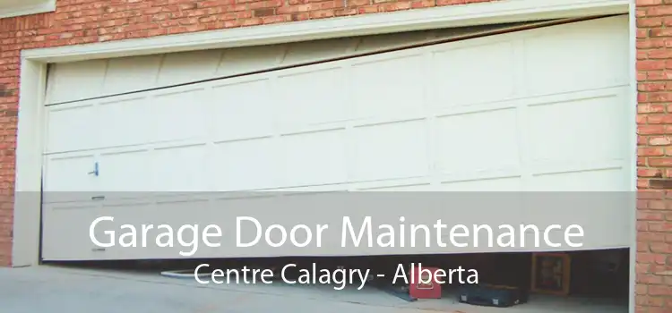 Garage Door Maintenance Centre Calagry - Alberta