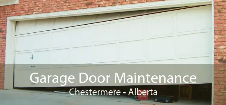 Garage Door Maintenance Chestermere - Alberta