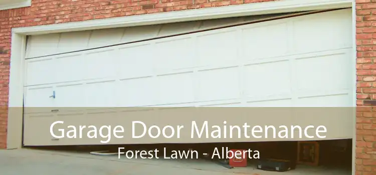 Garage Door Maintenance Forest Lawn - Alberta