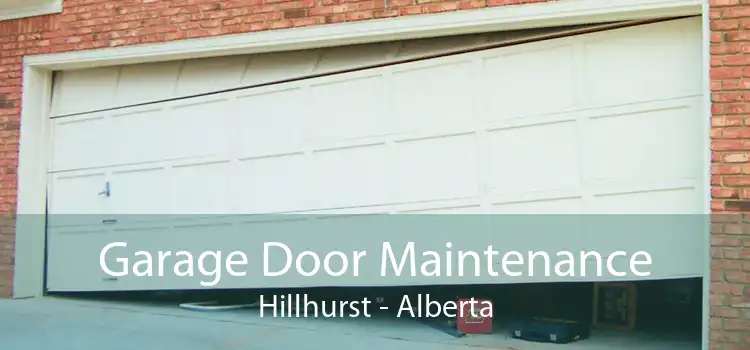 Garage Door Maintenance Hillhurst - Alberta