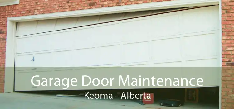 Garage Door Maintenance Keoma - Alberta