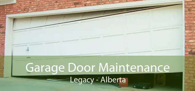Garage Door Maintenance Legacy - Alberta