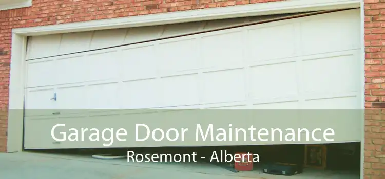 Garage Door Maintenance Rosemont - Alberta