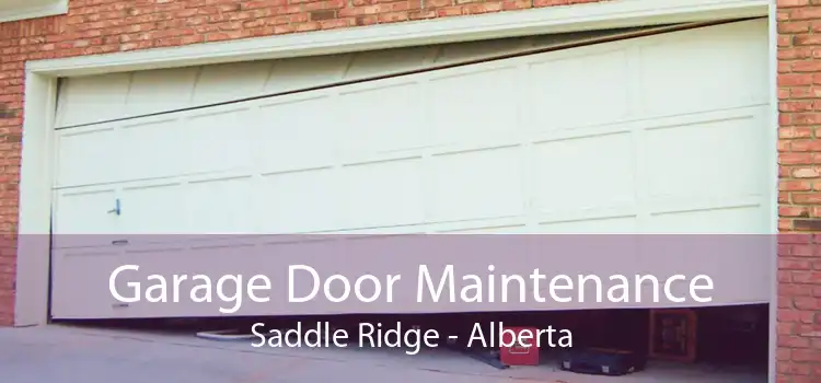 Garage Door Maintenance Saddle Ridge - Alberta