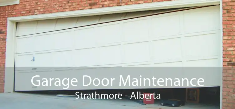 Garage Door Maintenance Strathmore - Alberta