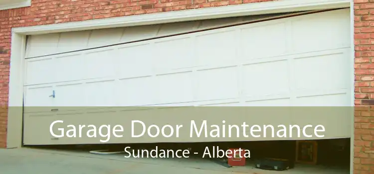 Garage Door Maintenance Sundance - Alberta