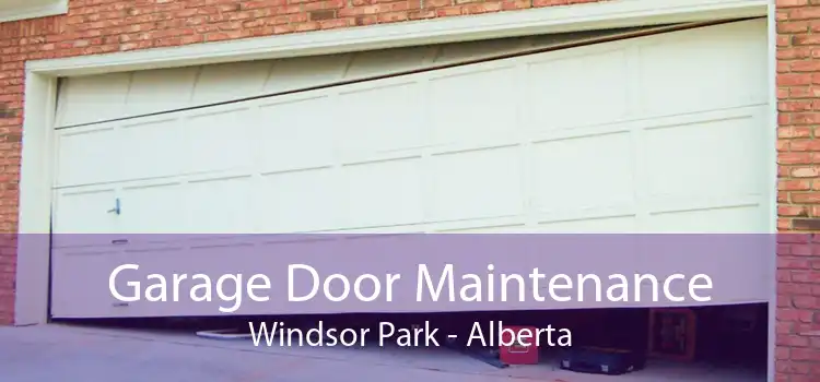 Garage Door Maintenance Windsor Park - Alberta