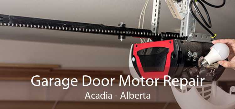 Garage Door Motor Repair Acadia - Alberta