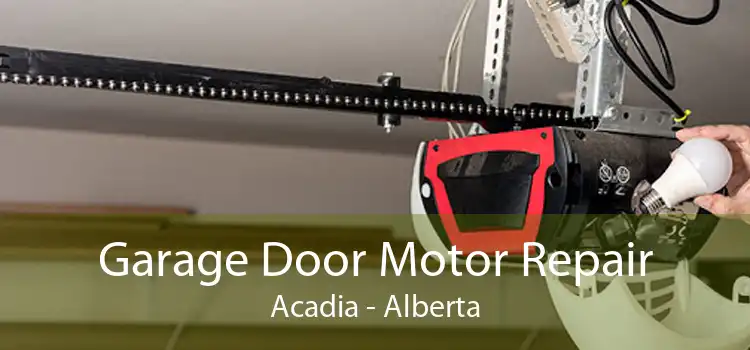 Garage Door Motor Repair Acadia - Alberta